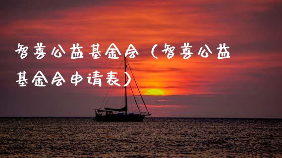 智善公益基金会（智善公益基金会申请表）_https://www.kuaijiepai.net_投资理财_第1张