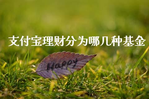 支付宝理财分为哪几种基金_https://www.kuaijiepai.net_投资理财_第1张