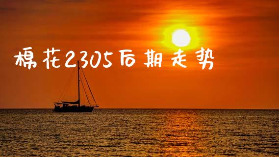 棉花2305后期走势_https://www.kuaijiepai.net_国际期货_第1张