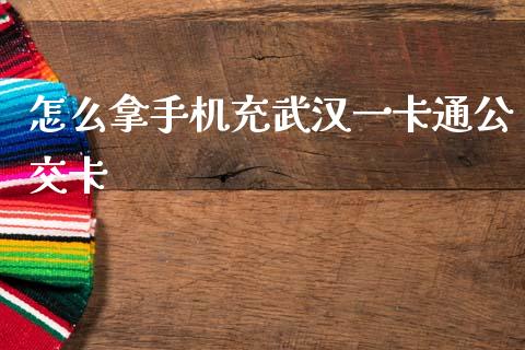怎么拿手机充武汉一卡通公交卡_https://www.kuaijiepai.net_投资理财_第1张