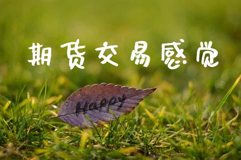 期货交易感觉_https://www.kuaijiepai.net_期货理财_第1张