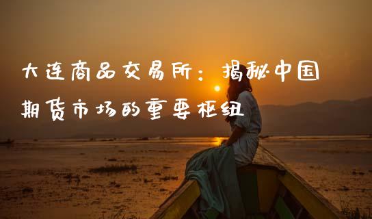 大连商品交易所：揭秘中国期货市场的重要枢纽_https://www.kuaijiepai.net_股票理论_第1张