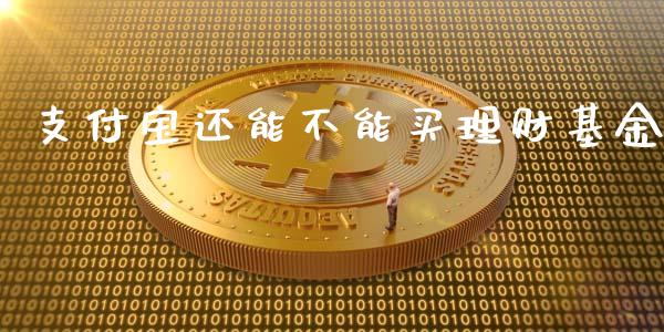 支付宝还能不能买理财基金_https://www.kuaijiepai.net_期货理财_第1张