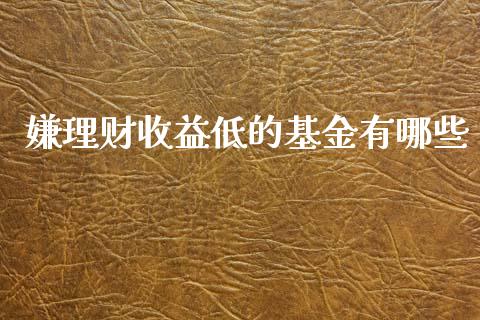 嫌理财收益低的基金有哪些_https://www.kuaijiepai.net_期货理财_第1张