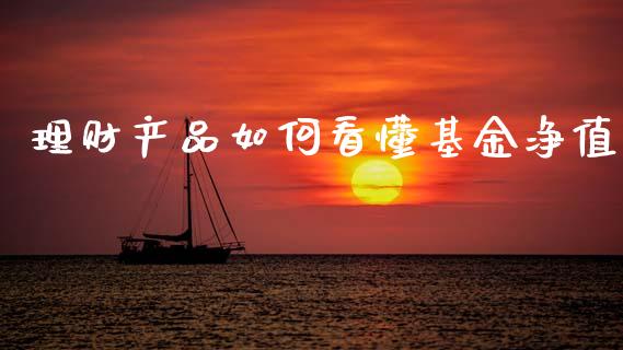 理财产品如何看懂基金净值_https://www.kuaijiepai.net_投资理财_第1张