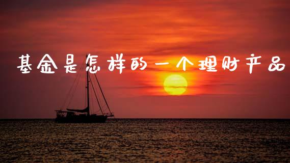 基金是怎样的一个理财产品_https://www.kuaijiepai.net_投资理财_第1张