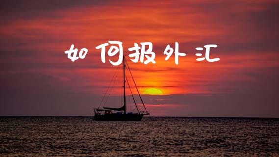 如何报外汇_https://www.kuaijiepai.net_期货理财_第1张