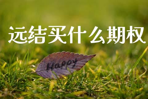 远结买什么期权_https://www.kuaijiepai.net_投资理财_第1张