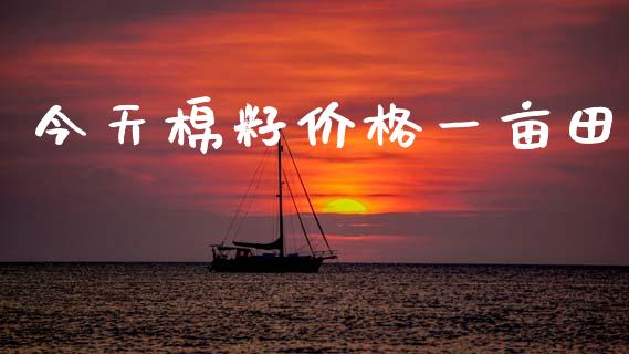 今天棉籽价格一亩田_https://www.kuaijiepai.net_国际期货_第1张