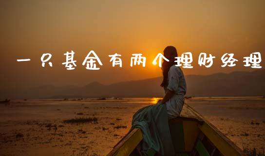 一只基金有两个理财经理_https://www.kuaijiepai.net_投资理财_第1张