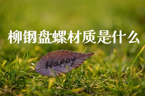 柳钢盘螺材质是什么_国际股建_第1张_快捷排财经网 柳钢盘螺材质是什么_https://www.kuaijiepai.net_国际股建_第1张