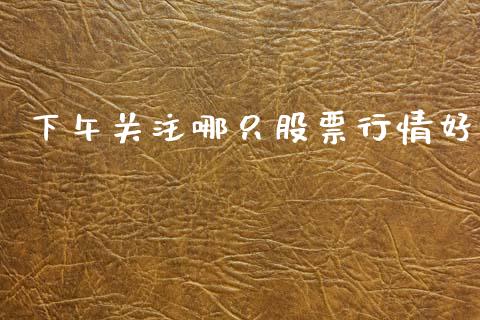 下午关注哪只股票行情好_https://www.kuaijiepai.net_国际股建_第1张