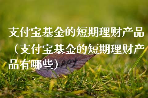 支付宝基金的短期理财产品（支付宝基金的短期理财产品有哪些）_https://www.kuaijiepai.net_投资理财_第1张