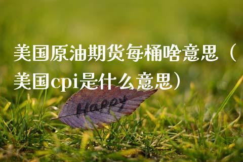 美国原油期货每桶啥意思（美国cpi是什么意思）_https://www.kuaijiepai.net_国际期货_第1张