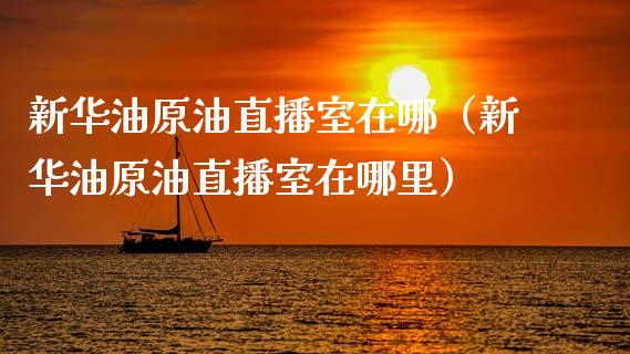 新华油原油直播室在哪（新华油原油直播室在哪里）_https://www.kuaijiepai.net_期货在线_第1张