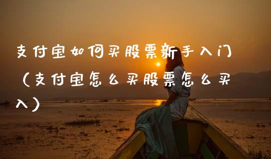支付宝如何买股票新手入门（支付宝怎么买股票怎么买入）_https://www.kuaijiepai.net_国际股建_第1张