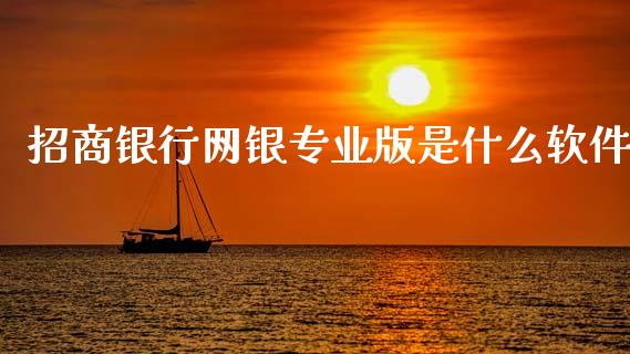 招商银行网银专业版是什么软件_https://www.kuaijiepai.net_国际股建_第1张