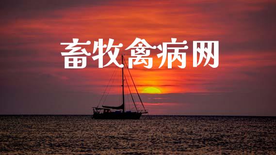 畜牧禽病网_https://www.kuaijiepai.net_国际期货_第1张