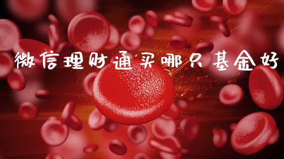 微信理财通买哪只基金好_https://www.kuaijiepai.net_期货理财_第1张