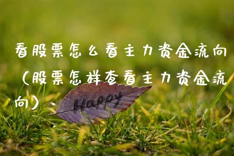 看股票怎么看主力资金流向（股票怎样查看主力资金流向）_https://www.kuaijiepai.net_新股新闻_第1张