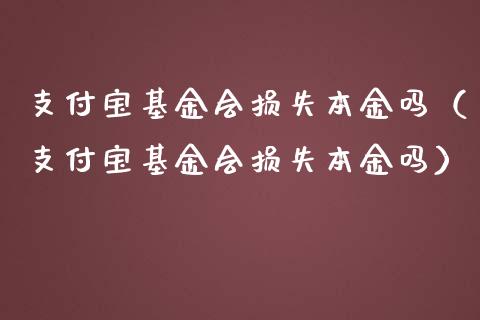 支付宝基金会损失本金吗（支付宝基金会损失本金吗）_https://www.kuaijiepai.net_投资理财_第1张