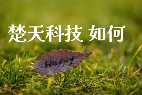 楚天科技 如何_https://www.kuaijiepai.net_股票理论_第1张