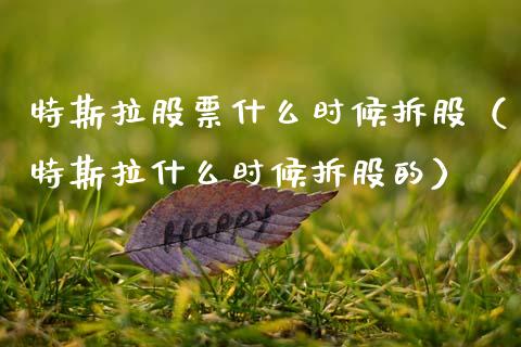 特斯拉股票什么时候拆股（特斯拉什么时候拆股的）_https://www.kuaijiepai.net_国际股建_第1张