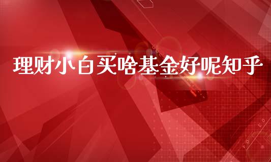理财小白买啥基金好呢知乎_https://www.kuaijiepai.net_投资理财_第1张