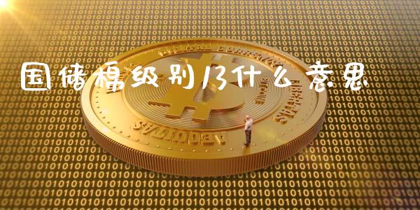 国储棉级别13什么意思_https://www.kuaijiepai.net_股票理论_第1张