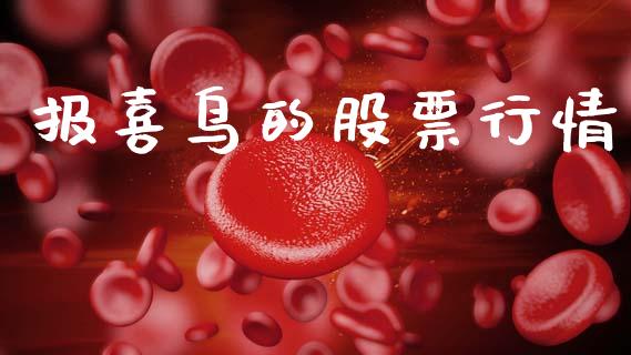 报喜鸟的股票行情_https://www.kuaijiepai.net_新股新闻_第1张