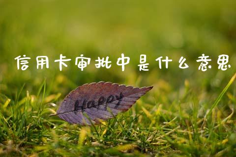信用卡审批中是什么意思_https://www.kuaijiepai.net_投资理财_第1张