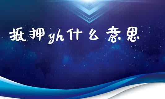 抵押yh什么意思_https://www.kuaijiepai.net_期货资讯_第1张