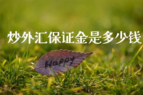 炒外汇保证金是多少钱_https://www.kuaijiepai.net_股票理论_第1张