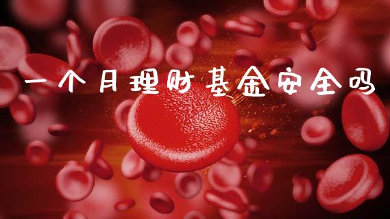 一个月理财基金安全吗_https://www.kuaijiepai.net_投资理财_第1张