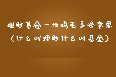 理财基金一地鸡毛是啥意思（什么叫理财什么叫基金）_https://www.kuaijiepai.net_期货理财_第1张