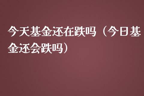 今天基金还在跌吗（今日基金还会跌吗）_https://www.kuaijiepai.net_期货理财_第1张