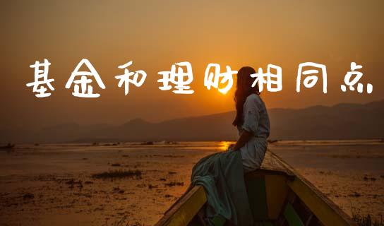 基金和理财相同点_https://www.kuaijiepai.net_期货理财_第1张
