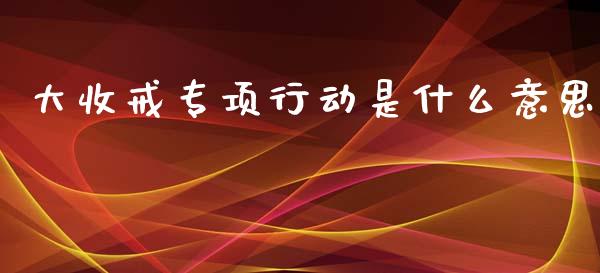 大收戒专项行动是什么意思_https://www.kuaijiepai.net_股票理论_第1张