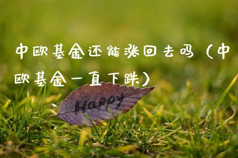 中欧基金还能涨回去吗（中欧基金一直下跌）_https://www.kuaijiepai.net_期货理财_第1张