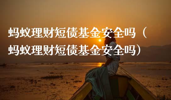 蚂蚁理财短债基金安全吗（蚂蚁理财短债基金安全吗）_https://www.kuaijiepai.net_期货理财_第1张