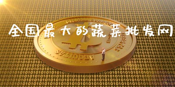 全国最大的蔬菜批发网_https://www.kuaijiepai.net_期货在线_第1张