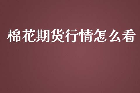 棉花期货行情怎么看_https://www.kuaijiepai.net_国际期货_第1张
