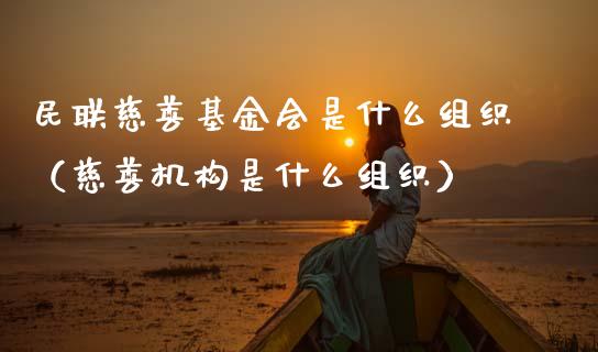 民联慈善基金会是什么组织（慈善机构是什么组织）_https://www.kuaijiepai.net_期货理财_第1张