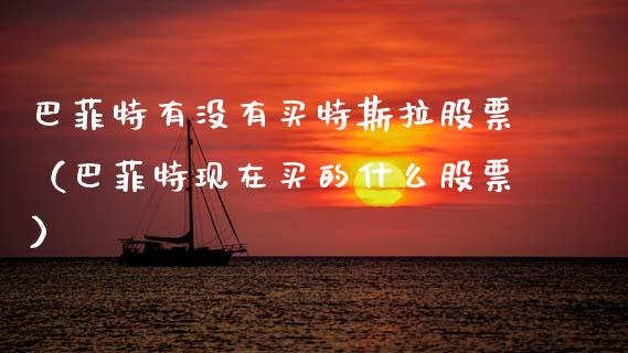 巴菲特有没有买特斯拉股票（巴菲特现在买的什么股票）_https://www.kuaijiepai.net_股票理论_第1张