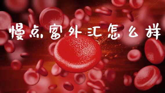 慢点富外汇怎么样_https://www.kuaijiepai.net_投资理财_第1张