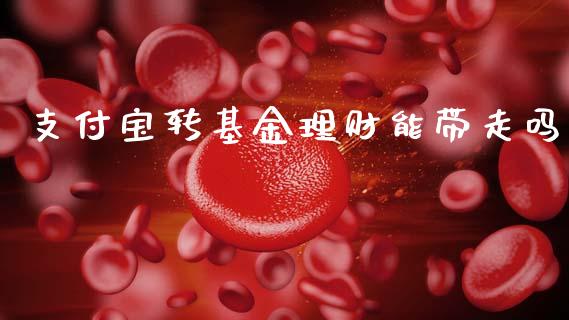 支付宝转基金理财能带走吗_https://www.kuaijiepai.net_投资理财_第1张