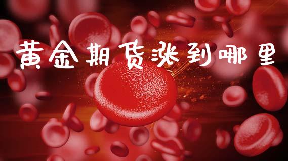 黄金期货涨到哪里_https://www.kuaijiepai.net_国际期货_第1张