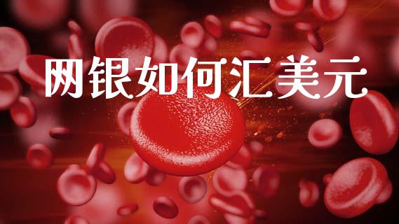 网银如何汇美元_https://www.kuaijiepai.net_国际期货_第1张