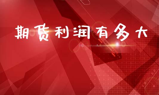 期货利润有多大_https://www.kuaijiepai.net_期货在线_第1张