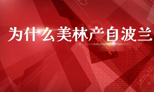 为什么美林产自波兰_https://www.kuaijiepai.net_期货理财_第1张